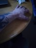 IMG_20190604_205300.jpg