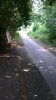 IMG-20190716-WA0039.jpeg