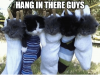 hang-in-there-guys-32380020.png