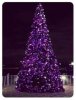 christmas-tress-purple-.jpg