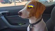 side eye - Copy.jpg