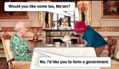 paddington.jpg