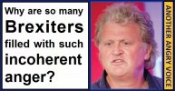 Why+are+Brexiters+so+incoherently+angry-3680487366.jpg