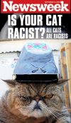 ACW-racist cat.jpg