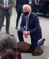 black-biden-in-action.jpg