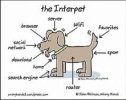 interpet.jpg