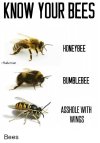 know-your-bees-honeybee-hubeman-bumblebee-asshole-with-wings-bees-19873487.jpg