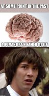 brain.jpg
