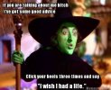 bb3076ba82240f8053c754c53a25e1aa--get-a-life-wicked-witch.jpg