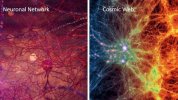 Brain Network- Universe.jpg