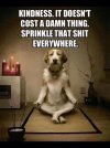 7037042a1a7b333314d8b77e0fc03ec4--yoga-dog-dog-doing-yoga.jpg