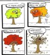 strip trees.jpg