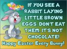 c250e484064f9da0c0eb30b3af88f7f1--funny-easter-quotes-happy-easter-quotes.jpg