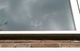 Birdstrike.JPG Birdstrike.JPG