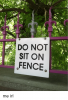 do-not-sit-on-fence-me-irl-38375540.png