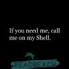 -if-you-need-me-call-me-on-my-shell..jpg