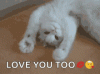 72209C06-0BE3-437A-AD9B-643D0C5DD8BC.gif