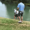 FD45ACCF-0114-4530-BCA7-0CE222750248.gif