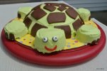 turtle cake.jpg