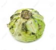 cabbage.jpg