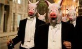 pig head tory.jpg