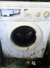 filthy washing mashine.jpg