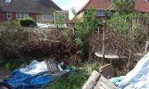 garden.jpg garden.jpg