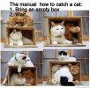 catch-box-624.jpg