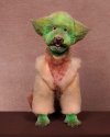 puppy8.jpg