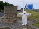 polar bears scotland.jpg polar bears scotland.jpg