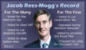 mogg3.jpg