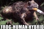 nigel-farage-frog-human-hybrid.jpg