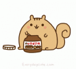 1634470636953.gif