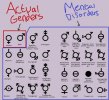 gender-pronouns.jpg
