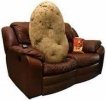 couch potato.jpg couch potato.jpg