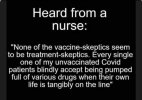 vaccine3.jpg