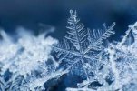 snowflake1.jpg snowflake1.jpg