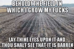 thumb_behold-the-field-in-which-igrow-my-fucks-lay-thine-49282205.png