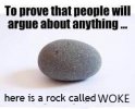 here is a rock - Copy.jpg