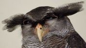 rtwetrwtrw.jpg