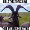 brows2.jpg