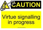 Virtue Signalling.jpg