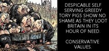 tory trough.jpg