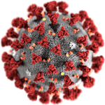 Coping with the corona virus pandemic
